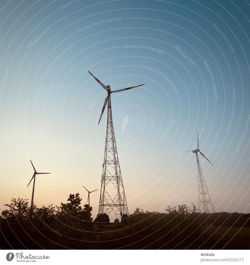 Vier Windräder in der Abenddämmerung Windkraftanlage Strom Energie Energiewirtschaft Erneuerbare Energie umweltfreundlich Elektrizität nachhaltig alternativ