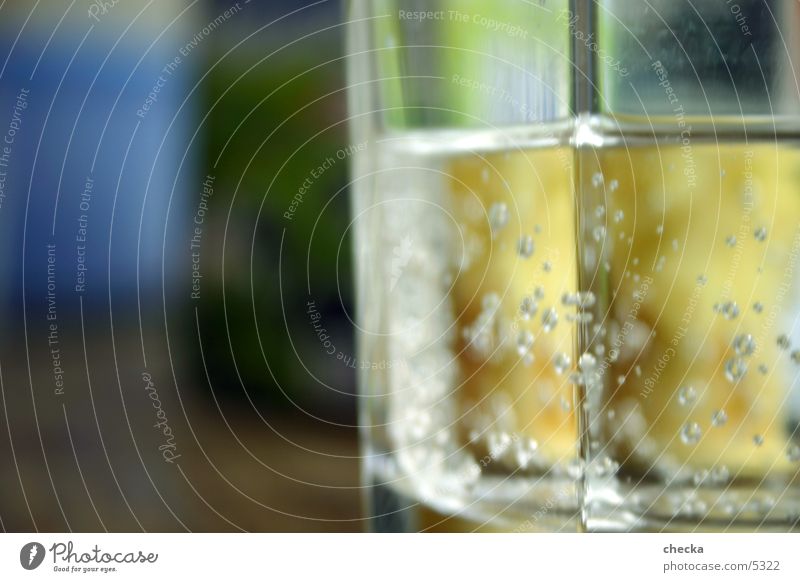 Wasserglas Getränk grün Luftblase Alkohol Glas Mineralwasser blasen