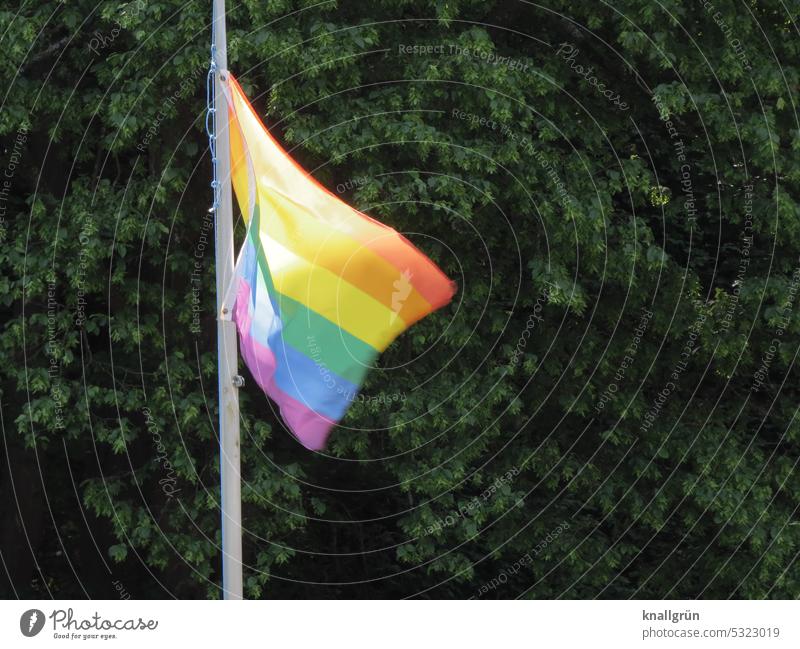 Regenbogenfahne Gleichberechtigung Toleranz Akzeptanz schwul lesbisch Mann lgbtq Homosexualität Freiheit Vielfalt Gleichstellung Fahne Liebe Transgender