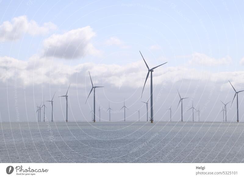 Windpark im Ijsselmeer Offshore-Windpark Windrad viele Windkraftanlage Stromerzeugung Stromgewinnung Erneuerbare Energie Elektrizität Energiewirtschaft