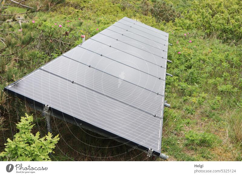 Solaranlage in den Dünen Photovoltaikanlage Solarmodul Energie Energiegewinnung Sonnenenergie Niederlande Holland Solarenergie Erneuerbare Energie nachhaltig