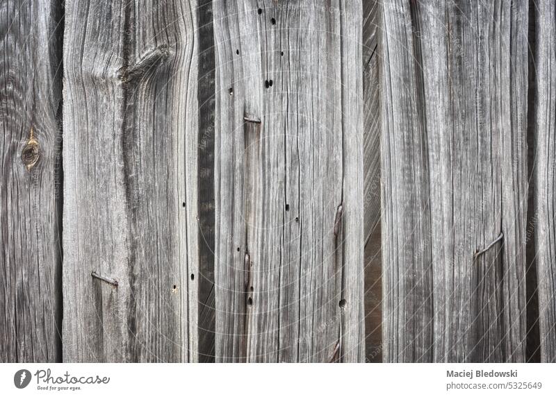 Nahaufnahme einer alten Holztür, Hintergrund oder Tapete. Tür Schiffsplanken Wand Nutzholz Muster Textur hölzern rau verwittert retro Grunge Hartholz