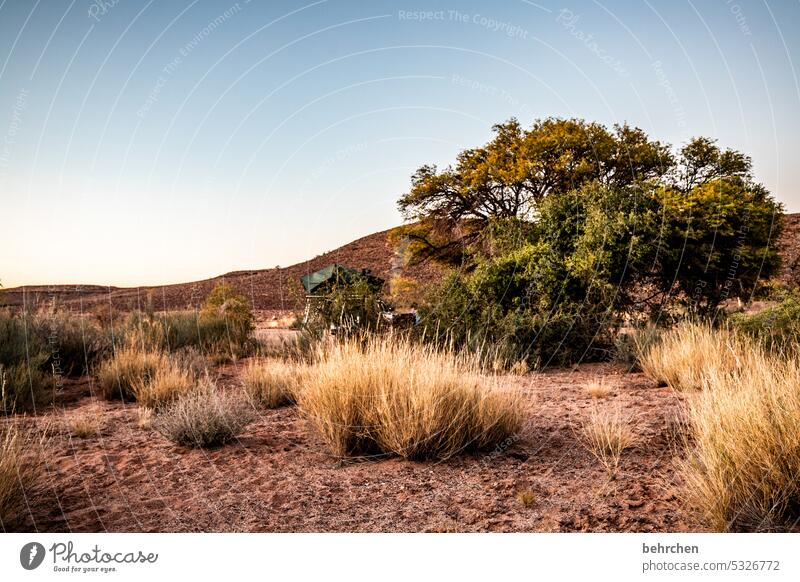 wildes namibia träumen Dämmerung Afrika Einsamkeit magisch Landschaft Wüste Ferien & Urlaub & Reisen Himmel traumhaft romantisch Sträucher Sonnenuntergang Natur