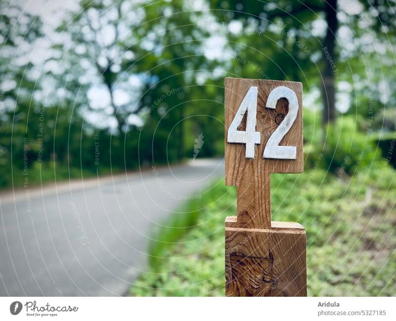 Hausnummer 42 | … oder die Antwort Zahl Holz Schild schnitzen Straße Bäume Ziffern & Zahlen Nummer Schilder & Markierungen weiß Nummerierung Detailaufnahme