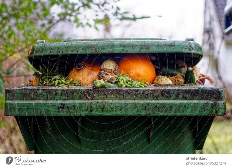 Blick in die Biotonne Biomüll Biomülltonne Mülltonne Obst Gemüse verdorben Überfluss Abfall Verschwendung Nahrungsmittel ungenießbar Konsumgesellschaft