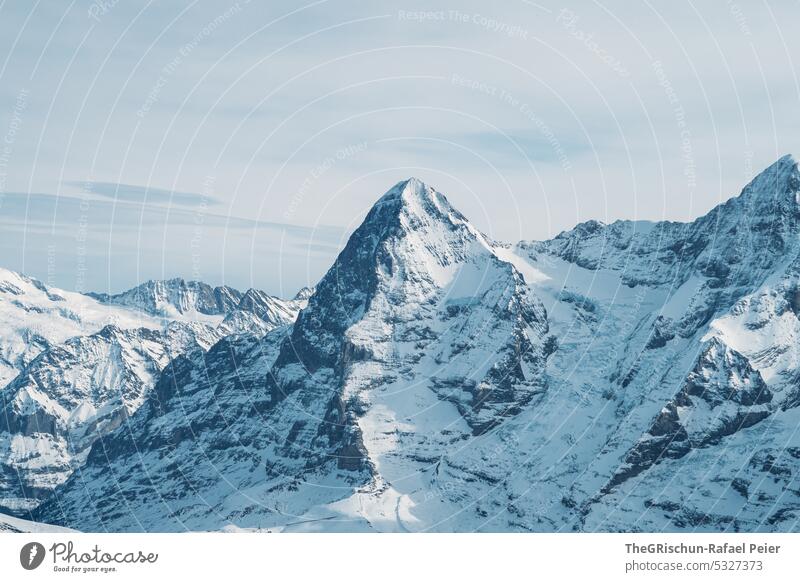 Bergpanorama im Winter mit verschneiten Bergen verschneite Gipfel Natur Landschaft Schnee Berge u. Gebirge kalt Alpen Außenaufnahme Schönes Wetter