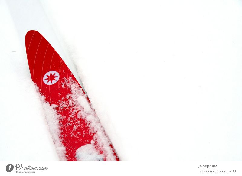 Rot auf Weiß II Freizeit & Hobby Skilanglauf Skifahren Skier Sport Wintersport Winterurlaub Jahreszeiten Schnee Frost kalt rot weiß Hintergrund neutral Tag