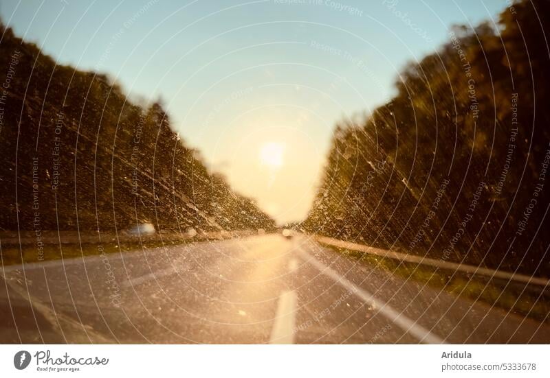 Autobahn, Abendsonne und … schmutzige Frontscheibe … Fenster Sonne Licht Gegenlicht Sonnenuntergang Autofahrt autofahren Straße PKW Autofahren Verkehr Fahrzeug
