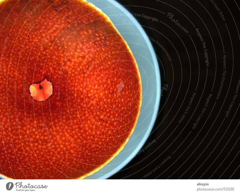 orange space plate Ernährung lecker Muster Teller Licht Am Rand Leuchtrand Lebensmittel blau Frucht tellerobst fallobst Lampe Schatten fruit tasty juicy light