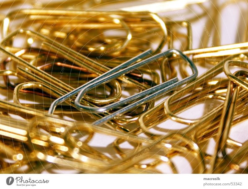Büroklammern in Gold Haufen chaotisch Nahaufnahme gold silber edel Vor hellem Hintergrund Makroaufnahme Arbeit & Erwerbstätigkeit Business