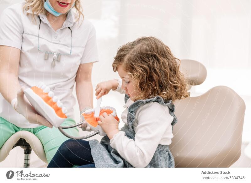 Ein Zahnarzt zeigt einem kleinen Mädchen in einer Zahnklinik die Zähne Zahnbürste zeigen lernen Bürste geduldig dental lehren Kiefer Stomatologie Hygiene Model