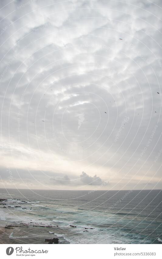 Ein unendlicher Himmel voller Wolken und fliegender Vögel, die in den Tiefen des Ozeans nach Beute suchen. Die portugiesische Küste. Wanderung auf dem Fischerpfad