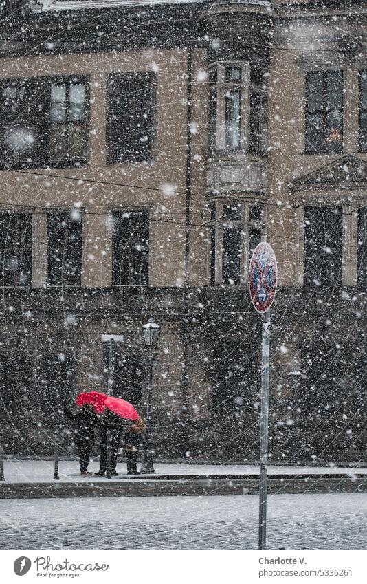 In Dresden schneit´s! Zwei rote Schirme in der Altstadt Schnee schneien Schneeflocken Winter Schneefall kalt winterlich Winterstimmung Wintertag Wetter weiß