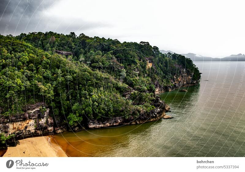 the beach Menschenleer Fernweh schön beeindruckend bako nationalpark Sarawak außergewöhnlich exotisch fantastisch Asien Malaysia Borneo Meer Strand Küste Felsen