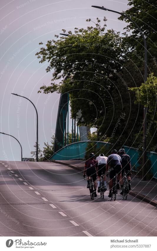 4 sportliche Radfahrer auf einer Brücke radfahrer Radfahren Radfahren mit Helm Stadt stadtbild Fahrrad Fahrradfahren Verkehr Straße Sport im Freien urban