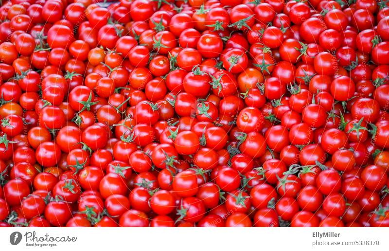 Ganz viele rote Tomaten. Frisches Gemüse. reif frisch Gesundheit natürlich Ernährung Vegetarische Ernährung Gesunde Ernährung Vegane Ernährung Ernte Vitamin