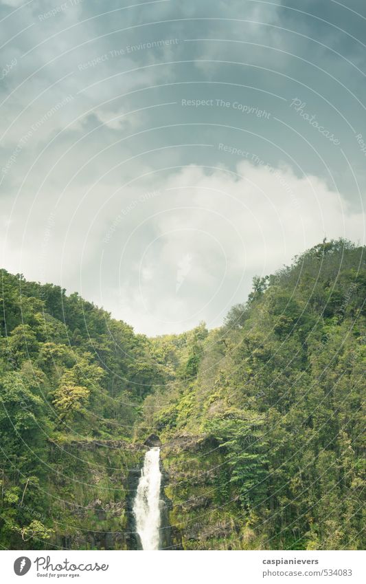 Waldwasserfall auf Hawaii Umwelt Landschaft Wasser Wolken Sommer Baum Sträucher Urwald Hügel Felsen Wasserfall beobachten Jagd Ferien & Urlaub & Reisen alt groß