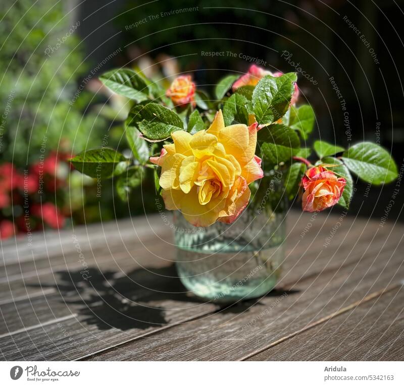 Kletterrosenstrauß steht auf einem Tisch in einer Glasvase Rosen Gelb orange apricot Garten Blume Sommer Blumenstrauß Vase Terrasse Sonnenlicht Schatten Licht