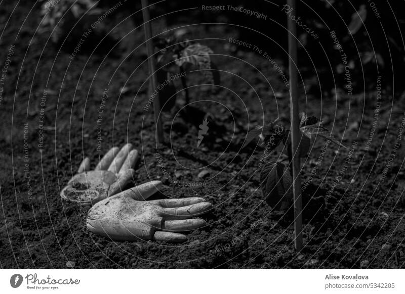 einen Finger gebrochen Hände Zementskulptur im Schmutz Gartenskulptur Kunst Schwarzweißfoto