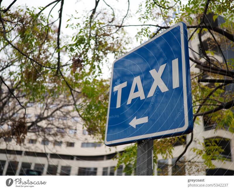 Taxischild auf der Straße Symbol Spanien Zeichen Großstadt Verkehr Dienst urban blau im Freien Baum Information Text niemand Stadt Beitrag Pfeil Hinweisschild