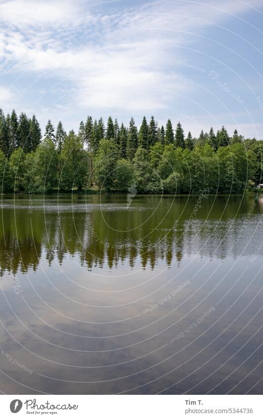 Waldsee Brandenburg Frühling See Wasser Außenaufnahme Seeufer Natur Menschenleer Farbfoto Reflexion & Spiegelung Baum Wasseroberfläche Himmel Landschaft Idylle