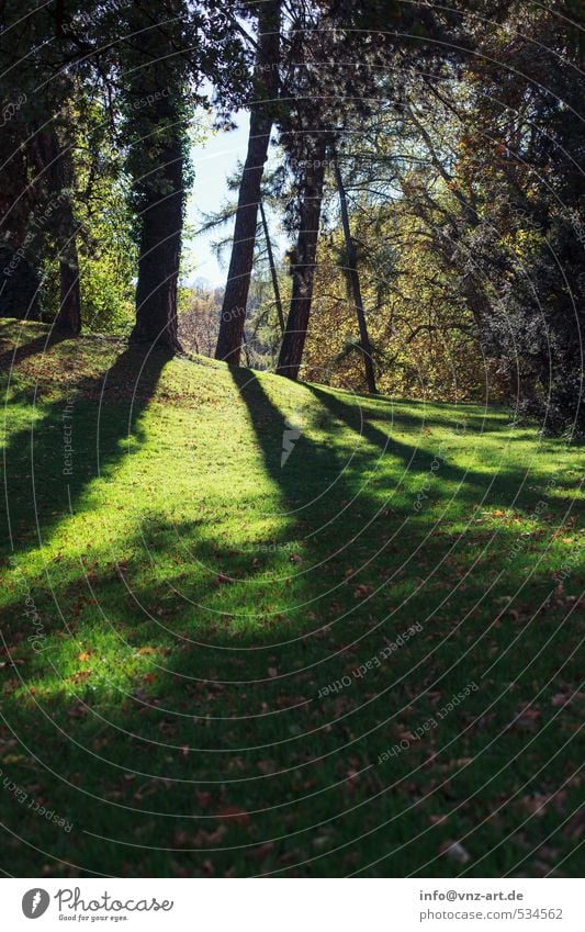 Sssschatten Umwelt Natur Landschaft Sonne Sonnenlicht Herbst Klima Wetter Schönes Wetter Pflanze Baum Blume Gras Sträucher Garten Park Wiese Wald Hügel grün