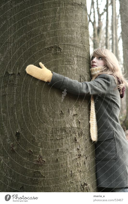 lass dich drücken Umarmen Baum mögen Handschuhe Schal Mantel Wald Herbst Winter
