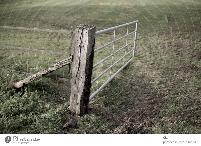 landflucht Umwelt Natur Landschaft Erde Gras Wiese Feld braun grün Tor Pferch Zaun Zaunpfahl Grenze offen Viehweide Viehweidezaun Farbfoto Gedeckte Farben