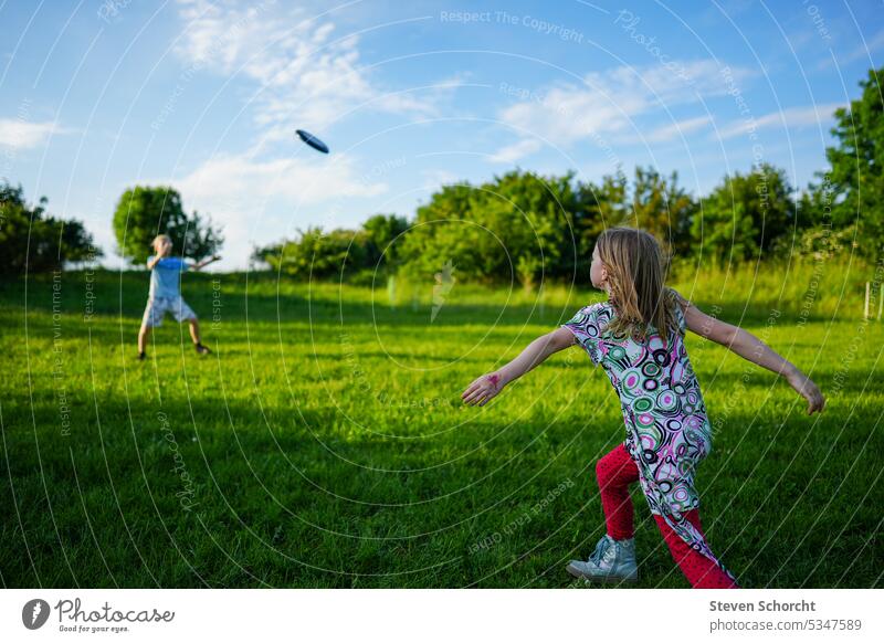 Kinder spielen auf einer grünen Wiese Frisbee grüne Wiese Natur Landschaft Gras Sommer Farbfoto Himmel Kindererziehung Kindheit Kindergarten Kinderspiel