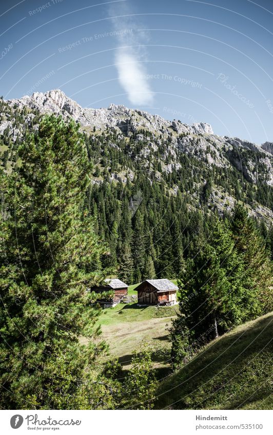 Im Grünen Ferien & Urlaub & Reisen Tourismus Himmel Wolkenloser Himmel Sommer Schönes Wetter Baum Wiese Wald Hügel Felsen Alpen Berge u. Gebirge Gipfel