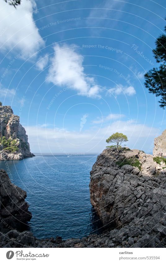 Mal wieder mehr Meer. Umwelt Natur Landschaft Urelemente Erde Luft Wasser Himmel Schönes Wetter Baum Felsen Küste Insel ästhetisch Mittelmeer mediterran