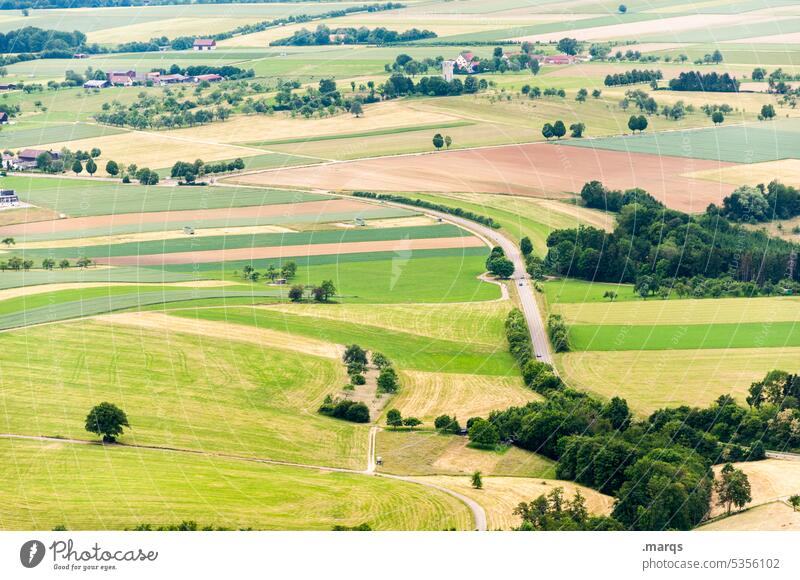 Überland Vogelperspektive Wiese ländlich Landstraße Landschaft Straße Feld Natur grün Landwirtschaft Sommer