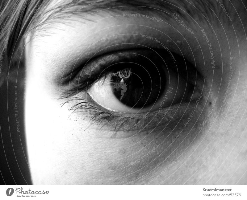 Blickfang Wimpern Lidschatten Pupille Auge eye