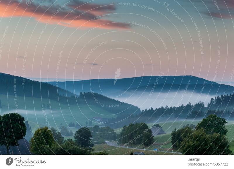 Morgens im Schwarzwald Morgendämmerung Nebel Landschaft Natur Baum Gedeckte Farben Stimmung Wiese Klima Himmel Umwelt Ausflug Hügel Schönes Wetter Morgennebel