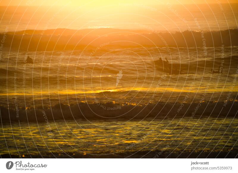 Dauerbrenner | auf den Wellen im ersten Sonnenschein Sonnenaufgang Morgen Sonnenlicht Silhouette Surfer Natur Gegenlicht Meer Wärme Romantik