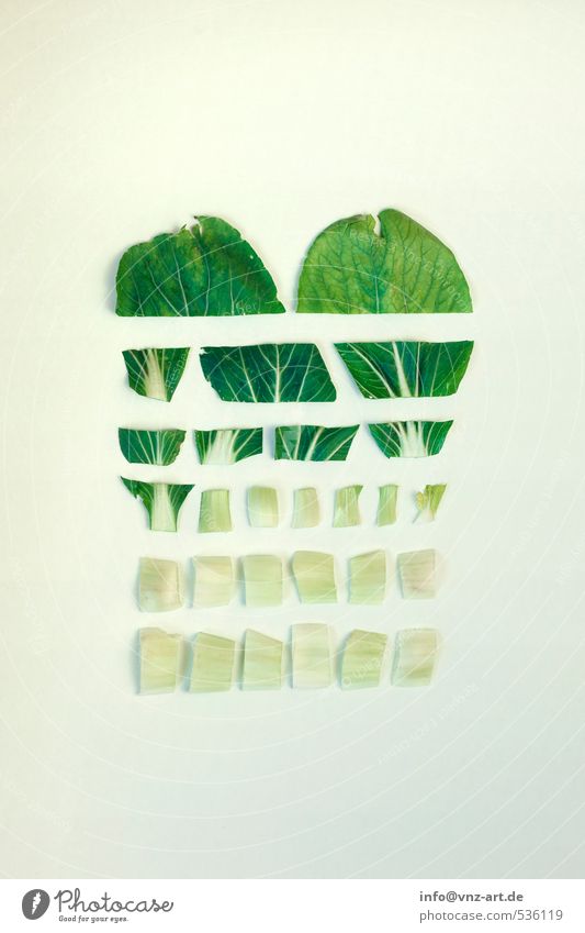 Vegetable_01 Gemüse graphisch Werkstatt flach modern Kunst Konzepte & Themen Design kochen & garen Küche geschnitten Pflanze exotisch interessant Teilung
