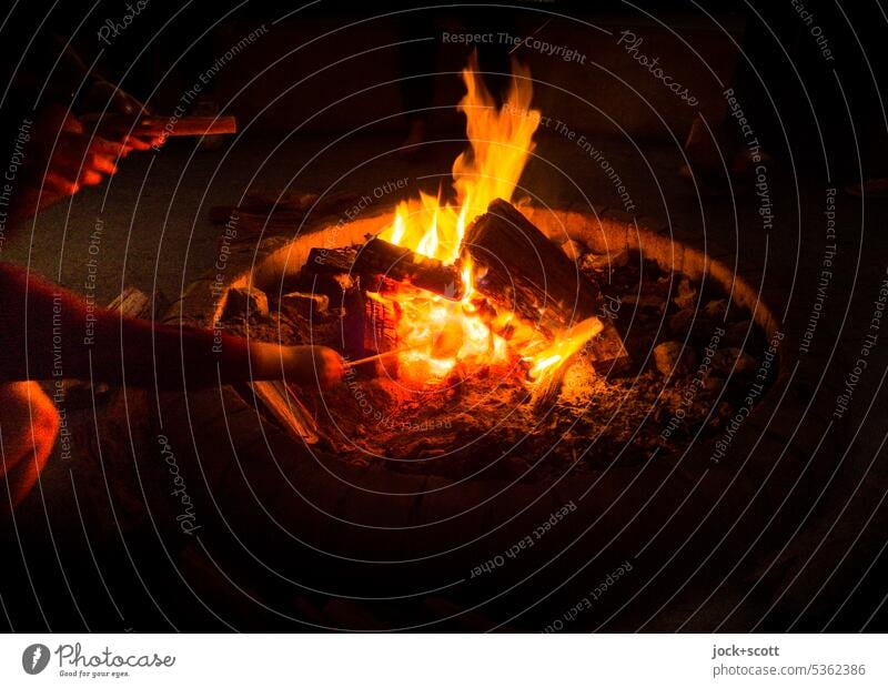 Marshmallow röstet im Feuer Grillrost heiß Lagerfeuer Feuerstelle Low Key Nacht Flamme glühen Glut glühend Wärme romantisch Brennholz Arm brennen Grillen Hitze