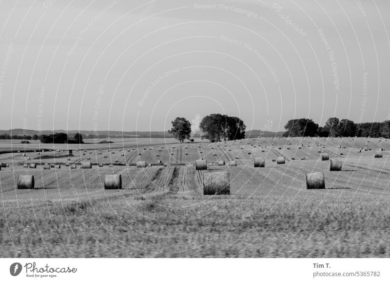 Landschaft mit Feld in Schwarz Weiß Mecklenburg-Vorpommern abgeerntet s/w Sommer Schwarzweißfoto b/w Tag b&w Menschenleer Außenaufnahme ruhig Einsamkeit Natur
