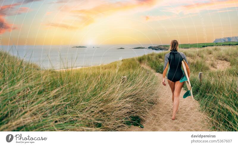 Surferin mit Neoprenanzug und Surfbrett auf dem Weg zwischen den Dünen zum Strand Frau jung laufen Textfreiraum Küste Sonnenlicht Sonnenuntergang Silhouette