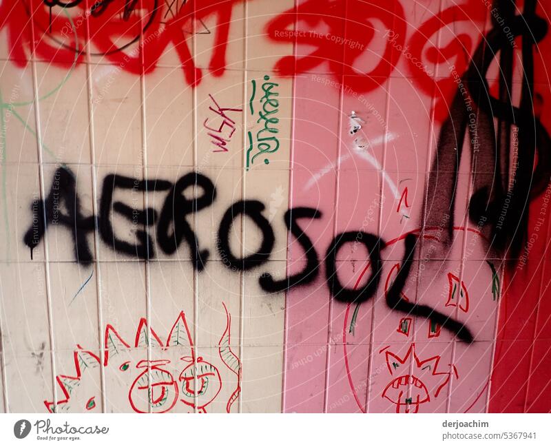 Graffiti Wandschrift:  A E R O S O l Schrift Menschenleer Farbfoto Fassade Schriftzeichen Zeichen Außenaufnahme Mauer Wort Wandmalereien Aussage Jugendkultur