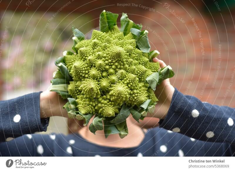 kalorienarm | Kohlkopf Romanesco Brokkoli Blumenkohl Brassica oleracea 'Romanesco' gesund vegan vegetarisch vitaminreich Diät lecker Vegane Ernährung