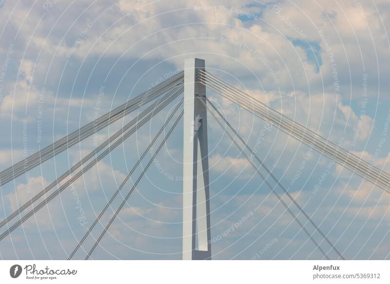 Stütze der Gesellschaft Pfeiler Brückenpfeiler Architektur Beton Bauwerk Außenaufnahme Brückenkonstruktion Farbfoto Verkehr Himmel Stahlseil Verkehrswege Wolken