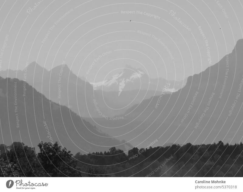 Blick auf das Gross- und Kleinschärhorn Gipfel Grossschärhorn Berge Schneeberge Schneegipfel Schweiz alpin Alpen Uri Urner Alpen Berge u. Gebirge Natur Felsen