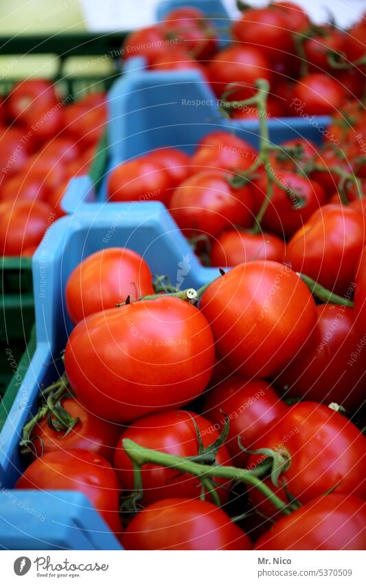 UT Bock auf Bochum I kalorienarm I Paradeiser Tomate Ernährung Markt Vegetarische Ernährung Gemüse Pflanze Gesundheit frisch Zutaten Gemüsehändler rot