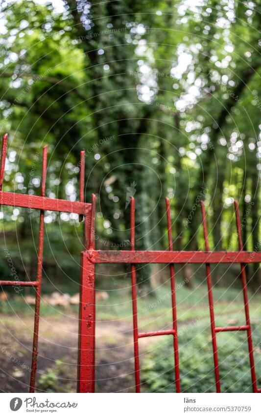 Pforte zum Paradies? Wald Menschenleer Außenaufnahme Paradies verloren Absperrung Natur Farbfoto Sommer grün Landschaft Bäume