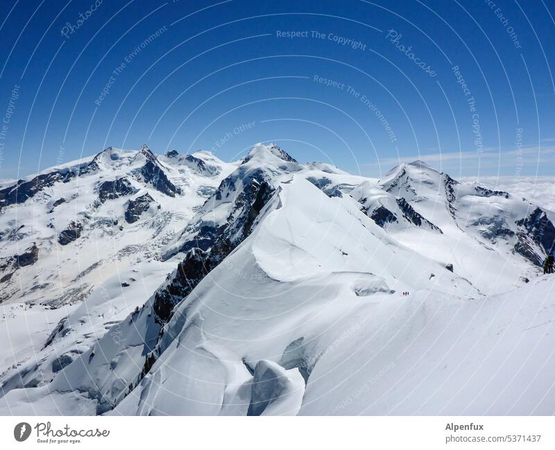 Monte Rosa Panorama Berge u. Gebirge Alpen Gipfel Außenaufnahme Farbfoto Felsen Schneebedeckte Gipfel Gletscher Natur Landschaft Panorama (Aussicht)