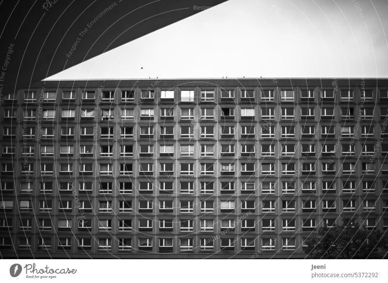Nachbarschaften Muster gleichmäßig nebeneinander Perspektive Wohnblock Großstadt Berlin grau anonym überbevölkert Wohnhaus Haus Fenster trist Gebäude