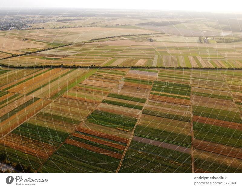 Luftaufnahme von kultivierten grünen Feldern und landwirtschaftlichen Parzellen mit Goldweizen, Strohrollen. Landschaft auf dem Land, Reihen geometrische Form Felder. Konzept der landwirtschaftlichen Industrie. Ukraine