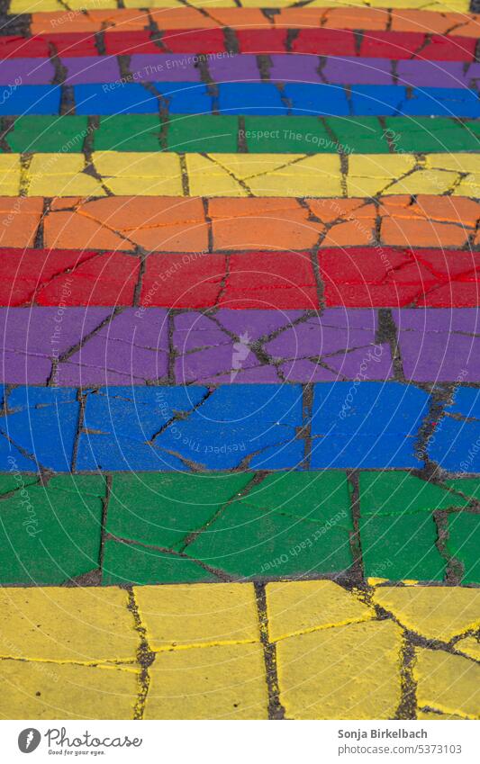 Fröhliche Farben Regenbogen Regenbogenflagge Gleichstellung Toleranz Varieté Freiheit Liebe lgbtq Symbole & Metaphern Homosexualität regenbogenfarben Sexualität