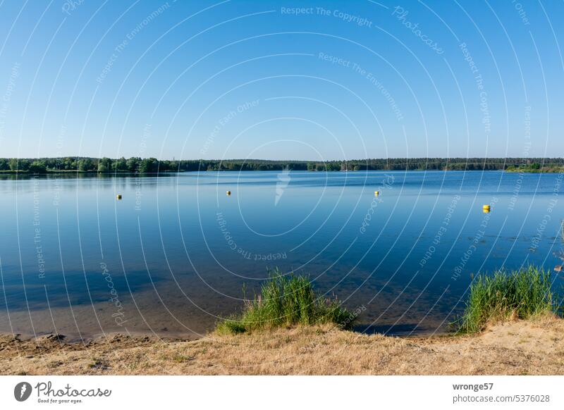 Stille genießen - Morgenstimmung am Niegripper See Morgenstund Badesee Campingplatz Wasser Sommer Schwimmen & Baden Ferien & Urlaub & Reisen Erholung